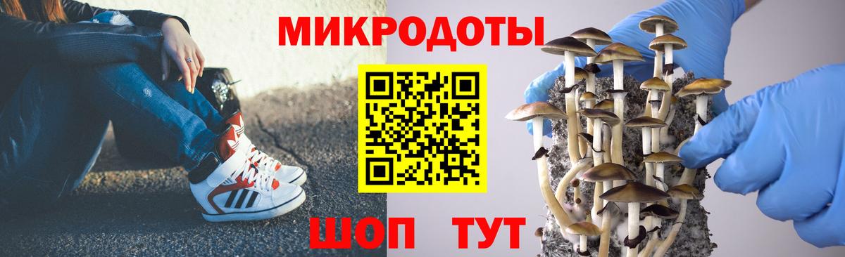 Псилоцибиновые грибы GOLDEN TEACHER  Галлюциногенные грибы MAGIC MUSHROOMS  Великий Устюг  Вход с VPN 